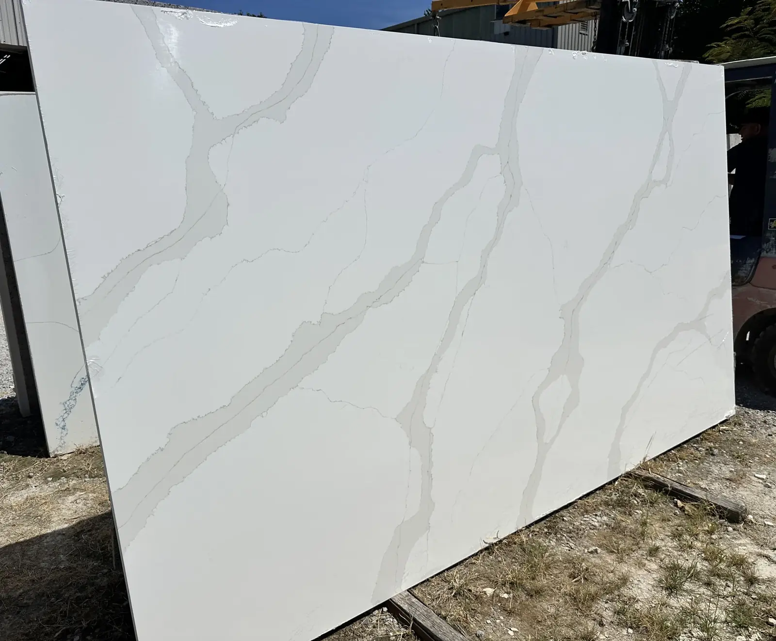 Calacatta Leo quartz slab