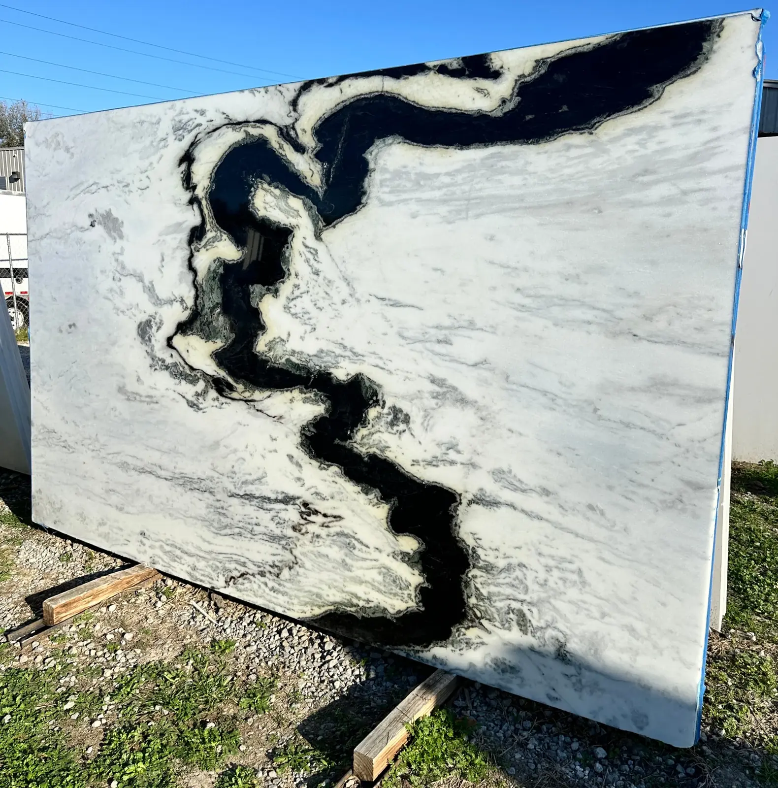 Panda Marble Marble swatch